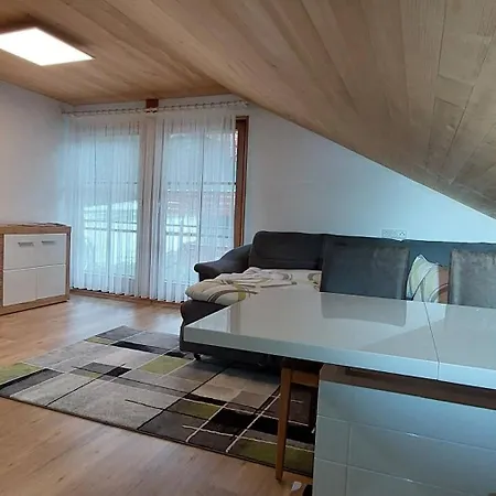 Apartmán Johannes Mellau